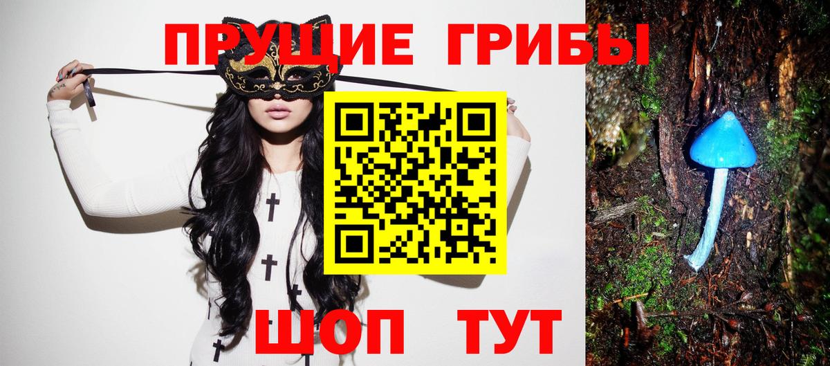 Галлюциногенные грибы Psilocybe Нижнекамск