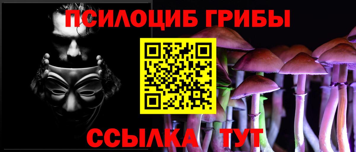Нижнекамск  Галлюциногенные грибы Psilocybe  Галлюциногенные грибы мицелий  Вход с VPN 